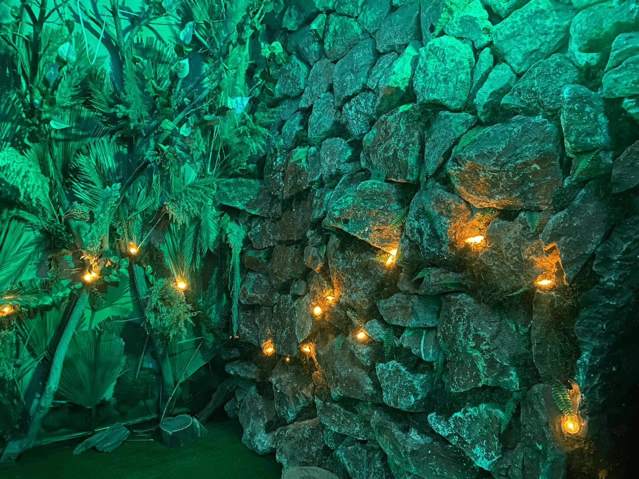 The jungle environment