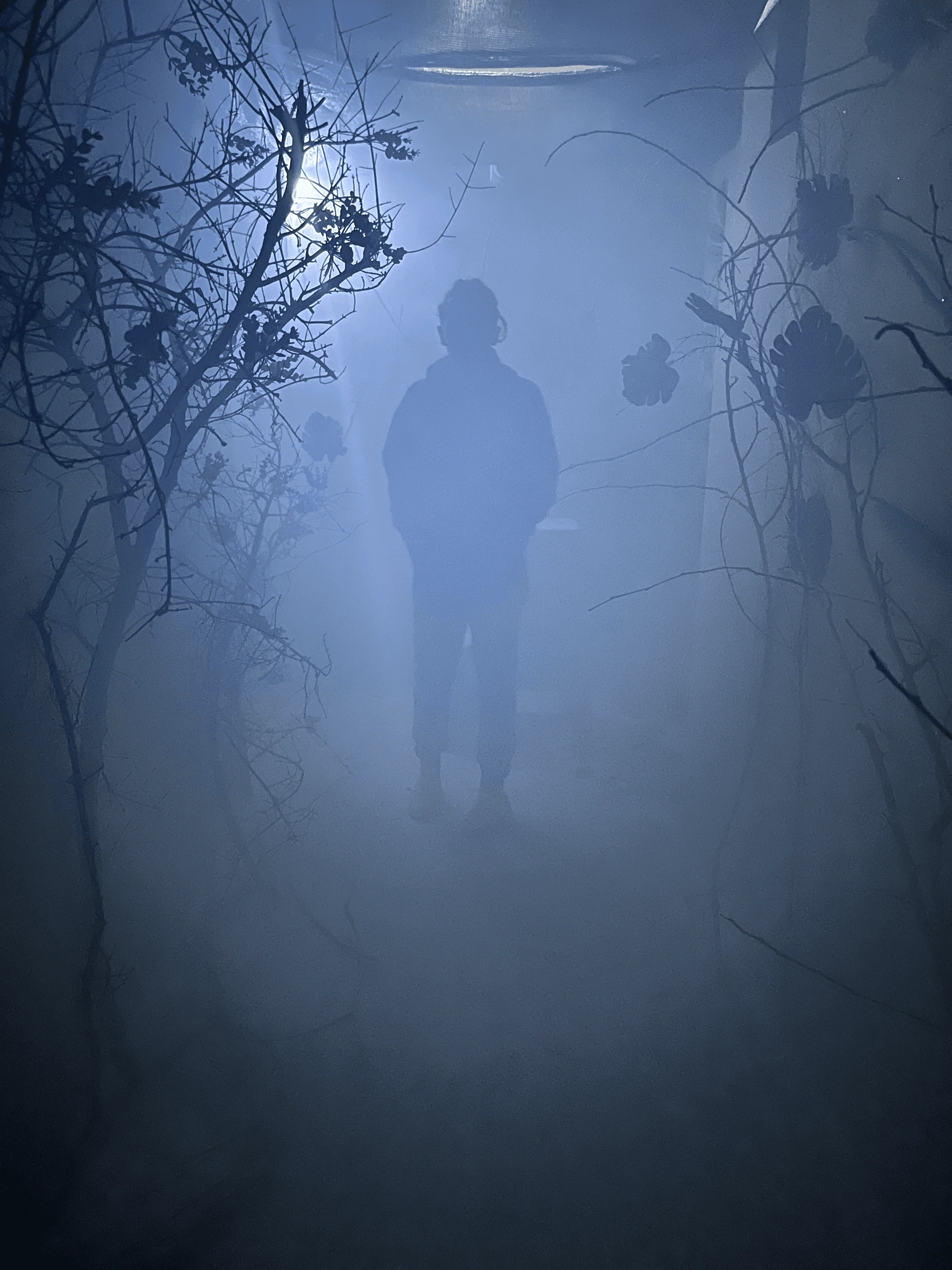 Jungle atmosphere concept
